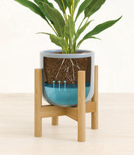 Load image into Gallery viewer, Misty Blue stand:bamboo