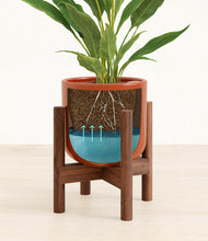 Load image into Gallery viewer, Glossy Red stand:walnut