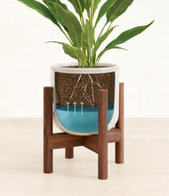 Load image into Gallery viewer, Hammered Ivory stand:walnut