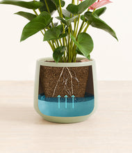 Load image into Gallery viewer, Turquoise