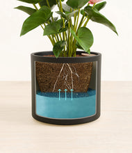 Load image into Gallery viewer, Black