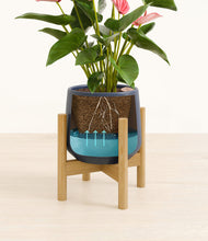 Load image into Gallery viewer, Deep Navy stand:bamboo