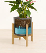 Load image into Gallery viewer, Dark Olive stand:bamboo