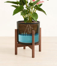 Load image into Gallery viewer, Black stand:walnut