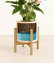 Load image into Gallery viewer, Cream stand:bamboo