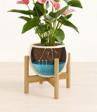 Load image into Gallery viewer, Shiny EggWhite stand:bamboo