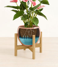 Load image into Gallery viewer, Calm Rose stand:bamboo