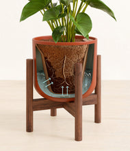 Load image into Gallery viewer, Earth Red stand:walnut