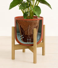 Load image into Gallery viewer, Earth Red stand:bamboo