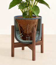 Load image into Gallery viewer, Iron Gray stand:walnut