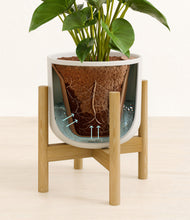 Load image into Gallery viewer, Natural Bamboo stand:bamboo