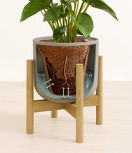 Load image into Gallery viewer, Sage Green stand:bamboo