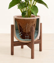 Load image into Gallery viewer, Sandy Pink stand:walnut