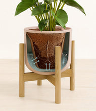 Load image into Gallery viewer, Sandy Pink stand:bamboo