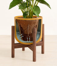 Load image into Gallery viewer, Sunset Orange stand:walnut