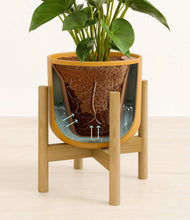 Load image into Gallery viewer, Sunset Orange stand:bamboo