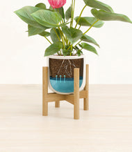 Load image into Gallery viewer, Cotton White stand:bamboo