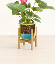 Load image into Gallery viewer, Key Lime Yellow stand:bamboo