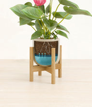 Load image into Gallery viewer, Sage Green stand:bamboo