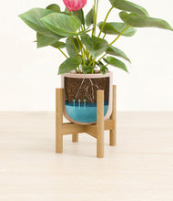 Load image into Gallery viewer, Sandy Pink stand:bamboo