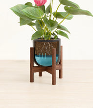 Load image into Gallery viewer, Stone Black stand:walnut