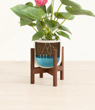 Load image into Gallery viewer, Cotton White stand:walnut