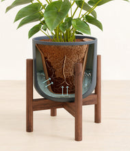 Load image into Gallery viewer, Iron Gray stand:walnut