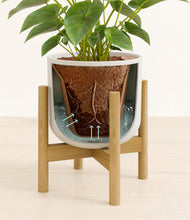 Load image into Gallery viewer, Natural Bamboo stand:bamboo