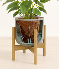 Load image into Gallery viewer, Sage Green stand:bamboo