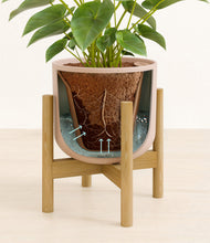 Load image into Gallery viewer, Sandy Pink stand:bamboo