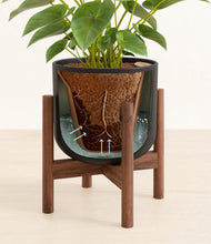 Load image into Gallery viewer, Stone Black stand:walnut