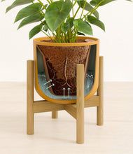 Load image into Gallery viewer, Sunset Orange stand:bamboo