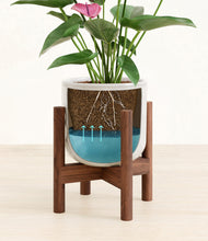 Load image into Gallery viewer, Hammered Ivory stand:walnut