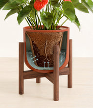 Load image into Gallery viewer, Earth Red stand:walnut