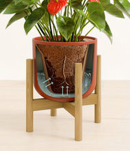 Load image into Gallery viewer, Earth Red stand:bamboo