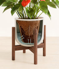 Load image into Gallery viewer, Natural Bamboo stand:walnut