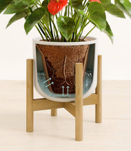 Load image into Gallery viewer, Natural Bamboo stand:bamboo
