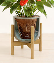 Load image into Gallery viewer, Sage Green stand:bamboo