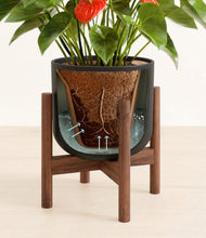 Load image into Gallery viewer, Stone Black stand:walnut