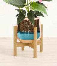 Load image into Gallery viewer, Gentle Pink stand:bamboo