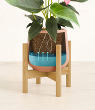 Load image into Gallery viewer, Calm Rose stand:bamboo