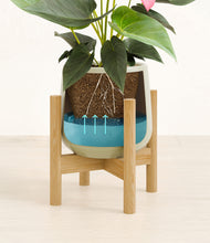 Load image into Gallery viewer, Turquoise stand:bamboo