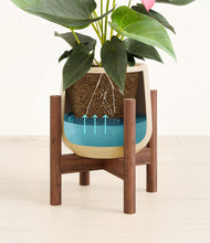 Load image into Gallery viewer, Almond Green stand:walnut