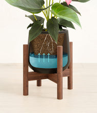 Load image into Gallery viewer, Black stand:walnut