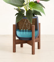 Load image into Gallery viewer, Deep Navy stand:walnut