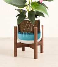 Load image into Gallery viewer, White stand:walnut