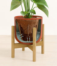 Load image into Gallery viewer, Earth Red stand:bamboo