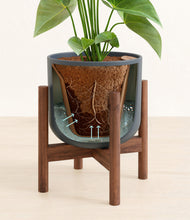 Load image into Gallery viewer, Iron Gray stand:walnut