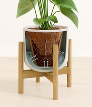 Load image into Gallery viewer, Natural Bamboo stand:bamboo