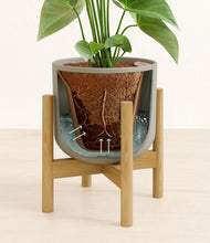 Load image into Gallery viewer, Sage Green stand:bamboo